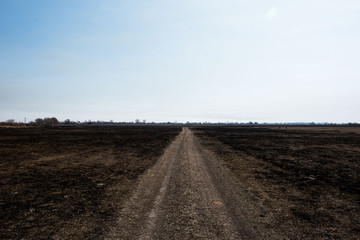 Fototapeta na wymiar black dead burned field