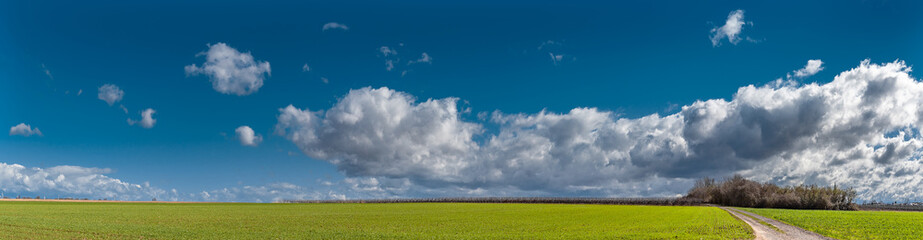 Fototapeta na wymiar stormy clouds, sky and fields