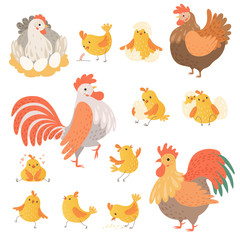 Chicken and rooster. Funny domestic farm animals birds eggs pollo vector cartoon characters. Character chicken farm, rooster illustration