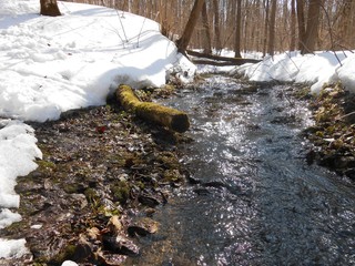Stream in the forest behind the snowdrifts with rocky banks and log.