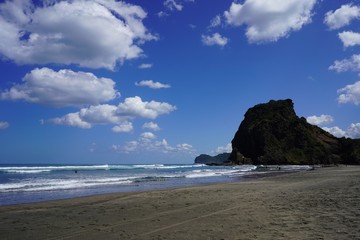 Fototapeta na wymiar 美しいニュージーランドの夏の海岸
