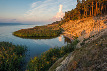 Cliff on the Vistula spit near Krynica Morska, Pomorskie, Poland