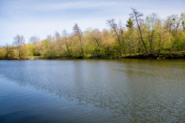 Fototapeta na wymiar river bank in spring