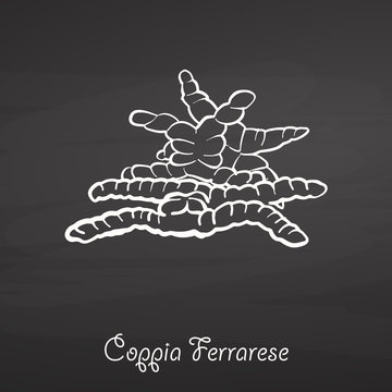 Coppia Ferrarese food sketch on chalkboard