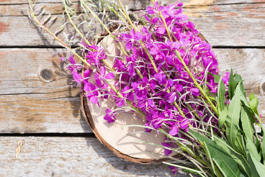 Flower Willowherb Sally bloom on wooden background. Top view.