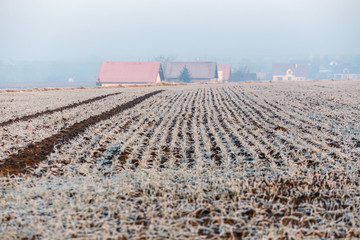 bright Sunrise over Frosted Field, country landscape