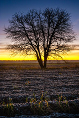 Beautiful sunrise over the field, countryside landscape