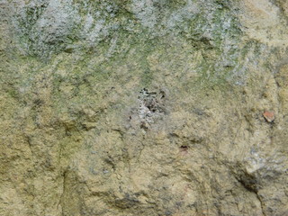  texture of porous natural stone
