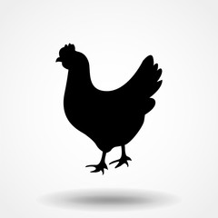 vector chicken silhouette isolated on white background