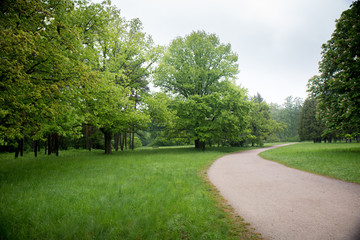 Fototapeta na wymiar road in the spring park