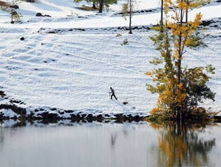 Colorful Trees in Autumn Season.savsat/artvin 