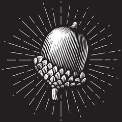 acorn- vintage engraved vector illustration (hand drawn style) © tribalium81