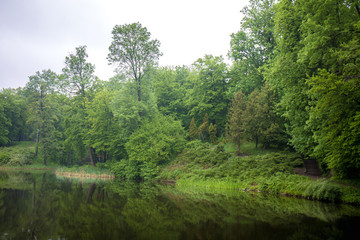 Obraz premium Lake in the morning