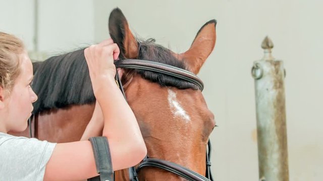A young sure is putting a briddle over the horse's head and she makes sure that it doesn't hurt his head.