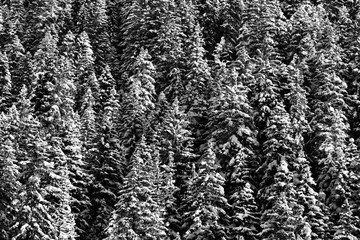 Swiss Alps near Davos, Switzerland