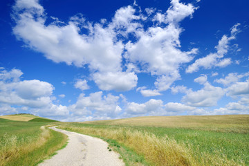 Idyllic view, rural path among green fields, blue sky in the bac