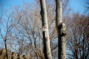 Fototapeta premium Old wooden birdhouse attached to a tree in winter time. Wintering place for birds