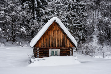 abandoned wooden cabin in winter forest