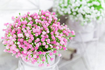 Elements and details of garden and home decor and interior. Artificial plants small flowers of pink color on a light background