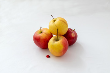 Apples 