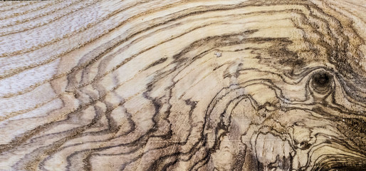 Creative idea for background. wood veneer texture, oak
