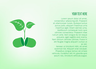 Vector illustration of plant growing from pill. Phyto preparations, herbal treatment, natural medicine concept for poster, web and advertising banner, article about healthy or design packaging. 