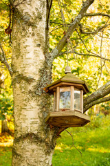 bird feeder in the garden