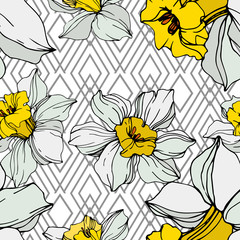 Vector White narcissus floral botanical flower. Engraved ink art. Seamless background pattern.