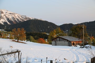 autumn photos taken on a snowy day..savsat/artvin/turkey