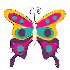 isolated, butterfly, character, colorful sketch