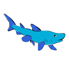  isolated fish shark