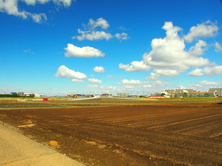 春の畑と農道風景