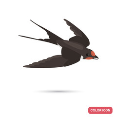 Swallow birs color flat icon for web and mobile design