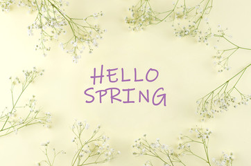 Yellow background with gypsophila branches and the text hello spring.