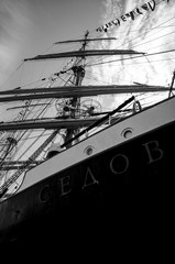 Sedov