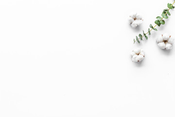 Natural flowers composition with eucalyptus branches and cotton on white background top view, flat lay copy space © 279photo