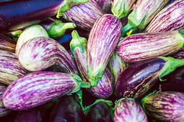 Striped eggplants on the market counter.