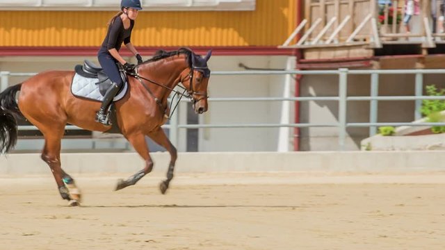 A brown horse jumps beautifully over a barrier in the horse arena. A young girl is an excellent horse rider.