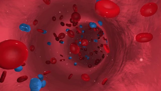 Blutbahn mit Blutzellen und Grippeviren flie&szlig;en durch eine Vene