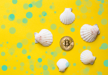 Bitcoin's vacation on the beach with seashells