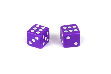 Two purple dice isolated on white background, clipping path with shadow