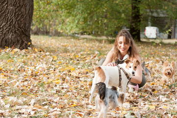 Girl with dogs, Beautiful young girl with her Yorkshire terrier dog puppy enjoying and playing in the autumn day in the park selective focus 