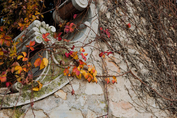 Autumn and architecture are historical sites. Postcard with yellow leaves. Free space for text.