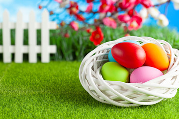 Colored Easter eggs in white nest on grass and springtime background