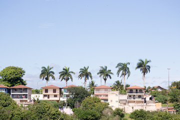 Fototapeta na wymiar Six tall palm trees standing high over a residential center and a aquapark in the Espirito Santo State near the city of Vitoria in Brazil