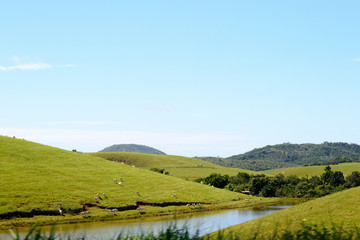 Fototapeta na wymiar Calm brazilian landscape. On a road trip in the Espirito Santo state we found this green peaceful valley with a nice little river