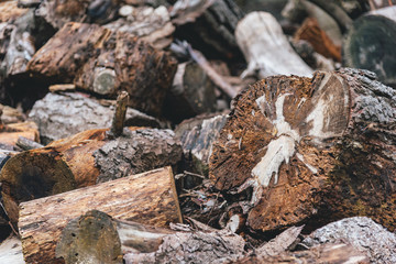 Pile of woodfire