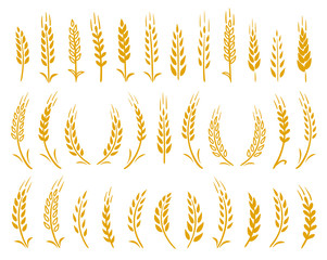 hand drawn set of yellow wheat ears icons