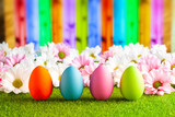 Easter eggs and flowers on the grass and colorful abstract background