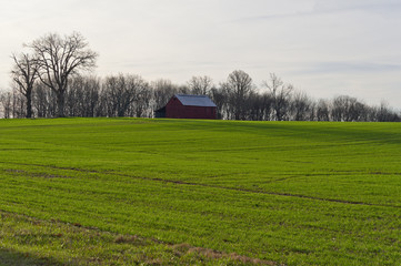 Obraz premium Barn on the Hill